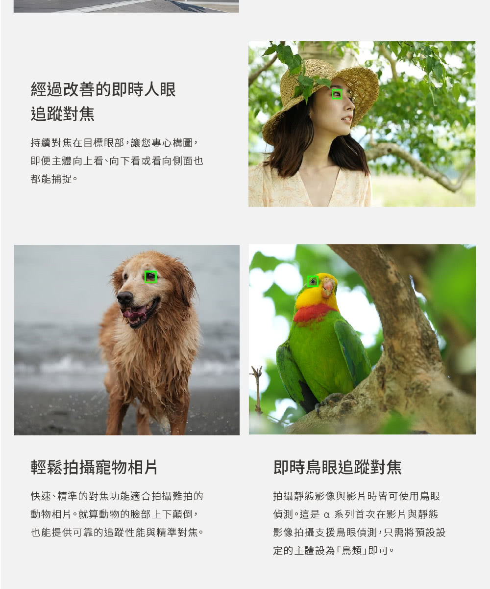 【SONY 索尼】ILCE-7M4 A7M4 A7IV 單機身(公司貨)